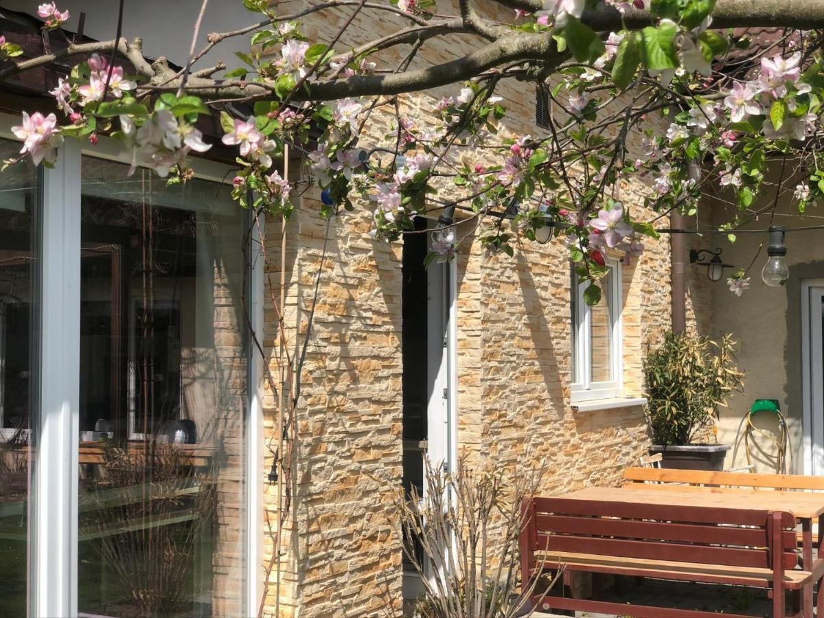 Apartman Marmelada Ctyrkoly Exterior photo